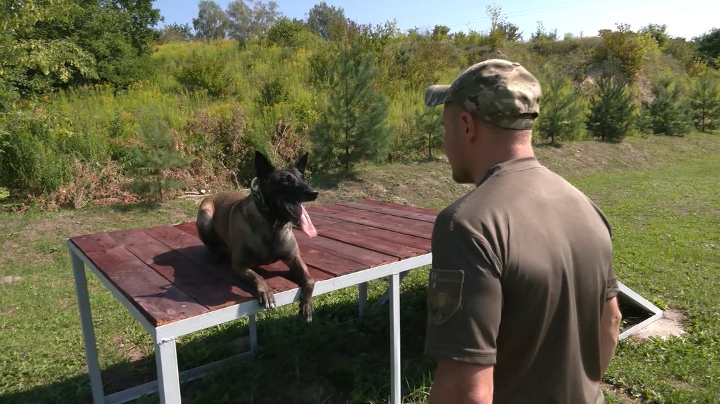 Фото: Суспільне Рівне